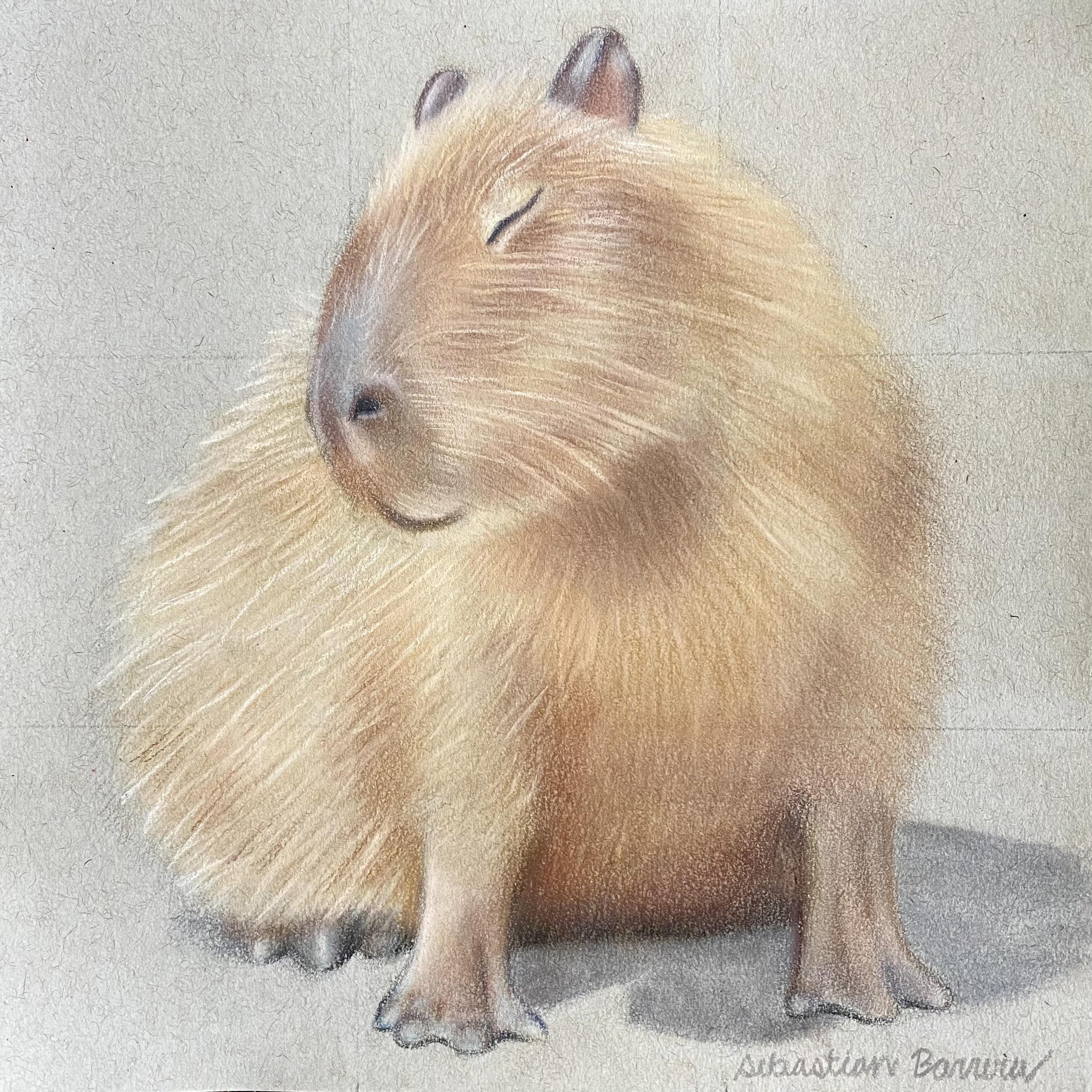 Capybara Best Drawing