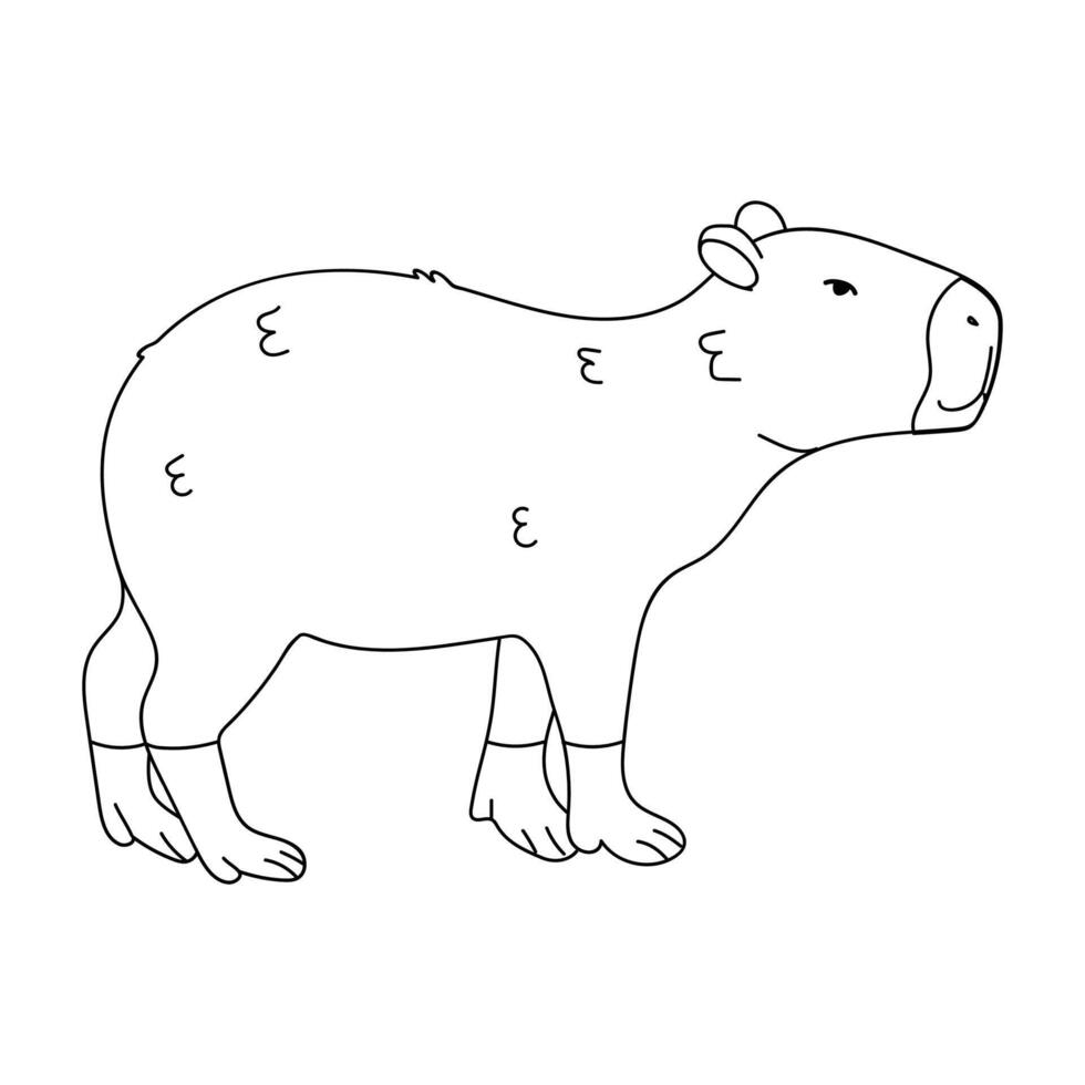 Capybara Drawing Beautiful Image