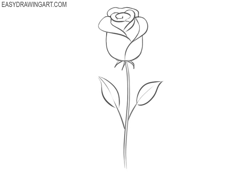 Sketch line drawing of rose Royalty Free Vector Image