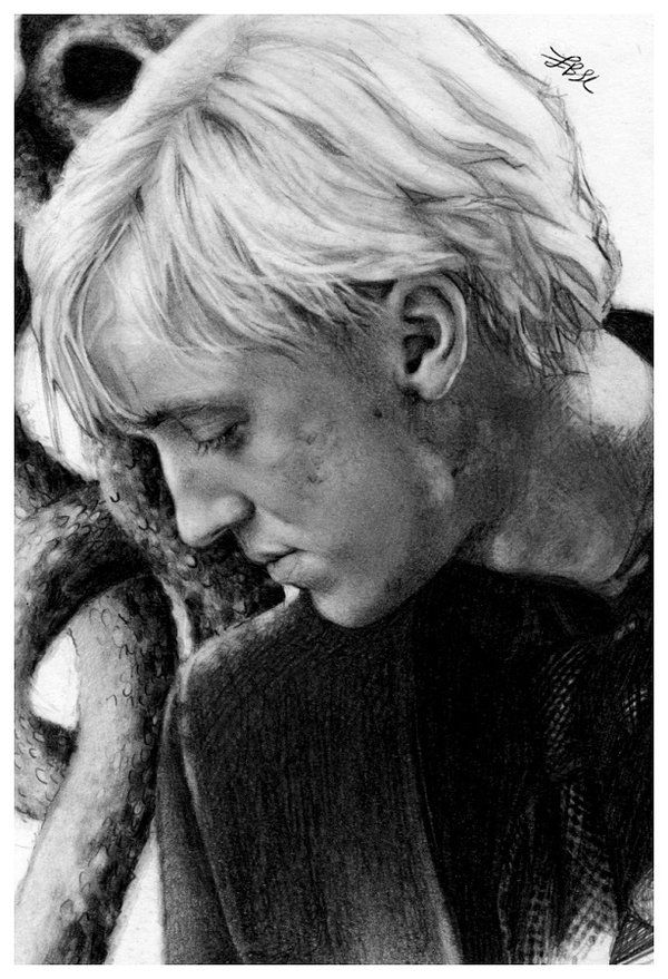 Draco Malfoy Drawing Photos