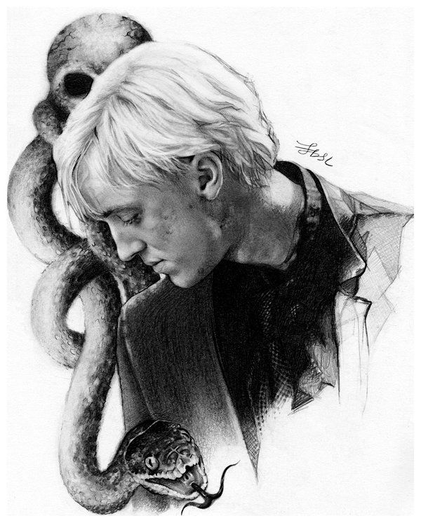 Draco Malfoy Drawing Pics