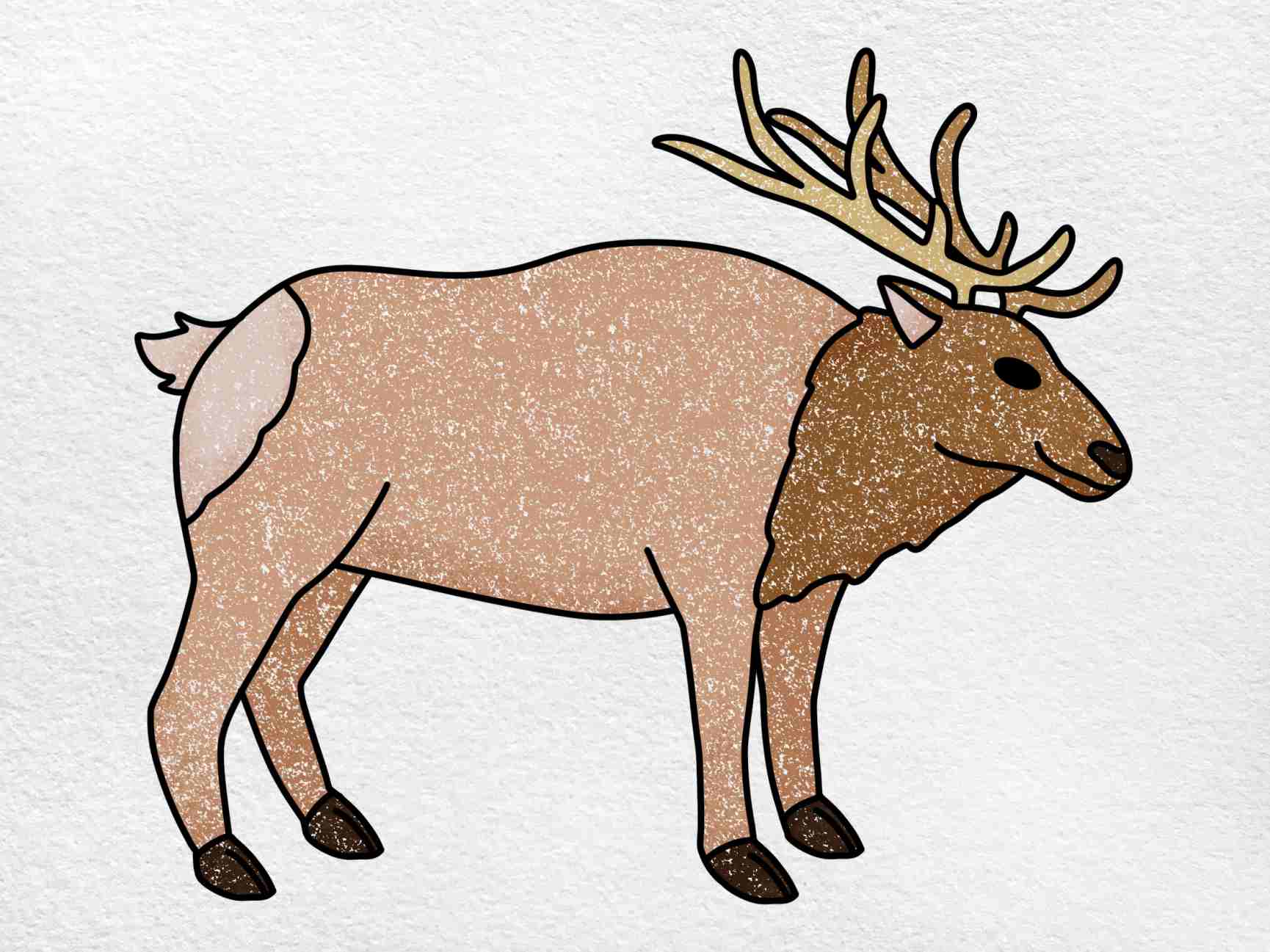 Elk Best Drawing