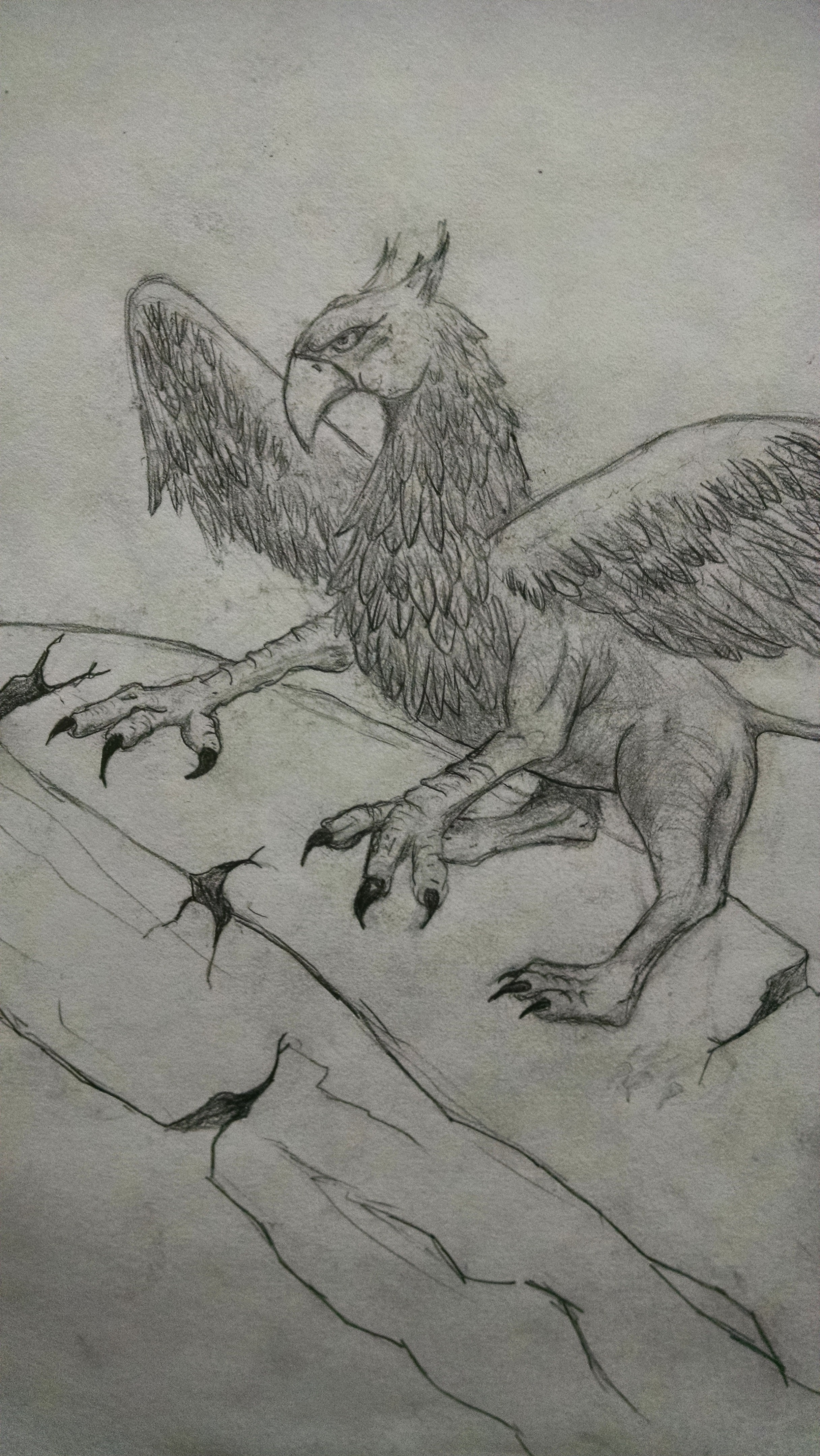 Griffin Best Drawing