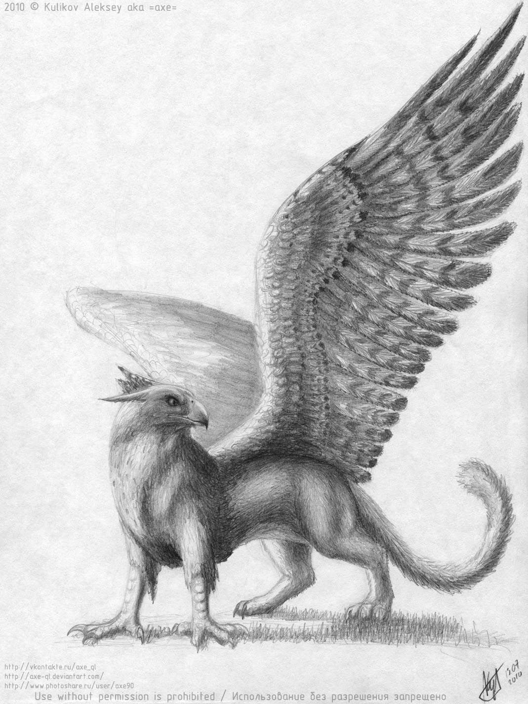 Griffin Drawing Images