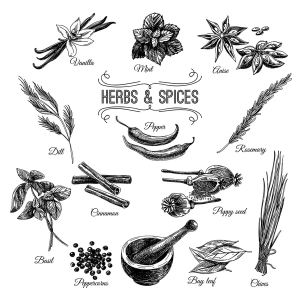 Herbs Drawing Pics