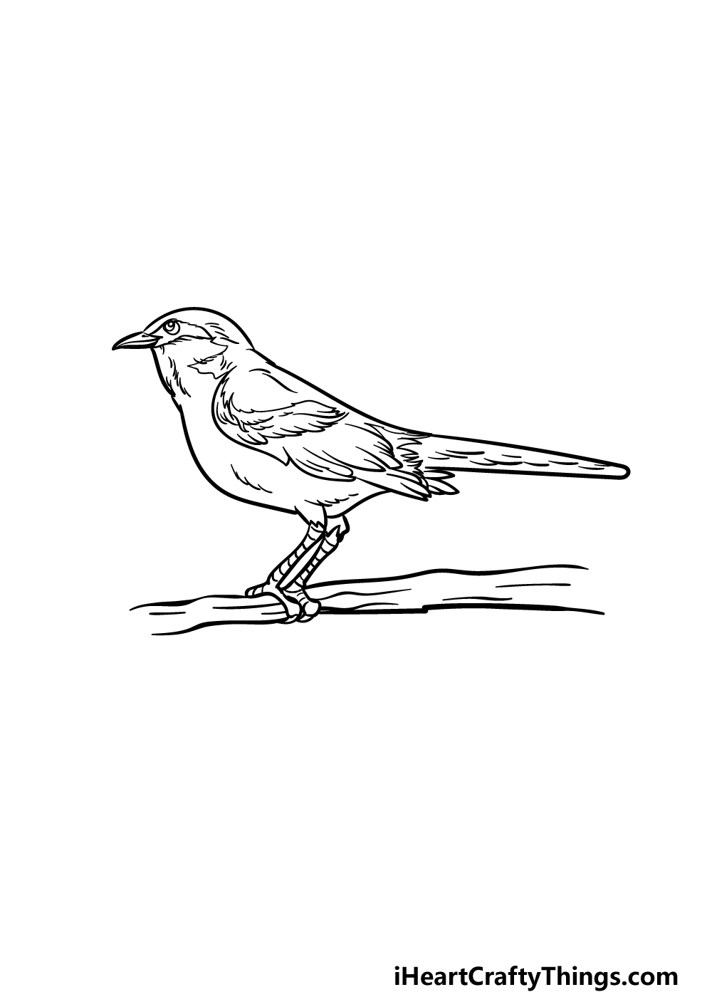 Mockingbird Drawing High-Quality