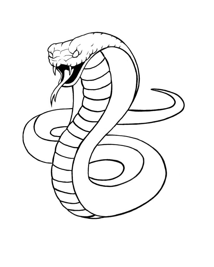 snake cobra drawing