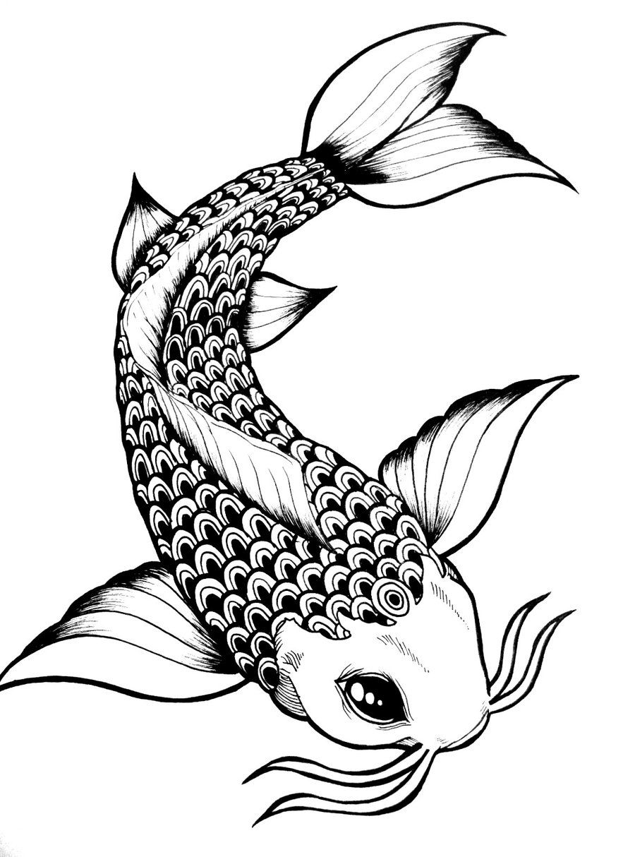 Fish Sketch: Capturing the Beauty of Aquatic Life | anything-about-fish ...