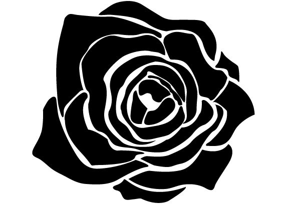 Black Rose Drawing Pics - Drawing Skill