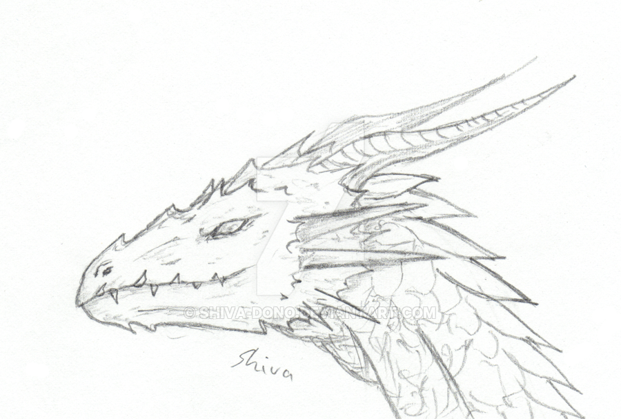line drawings of dragon heads