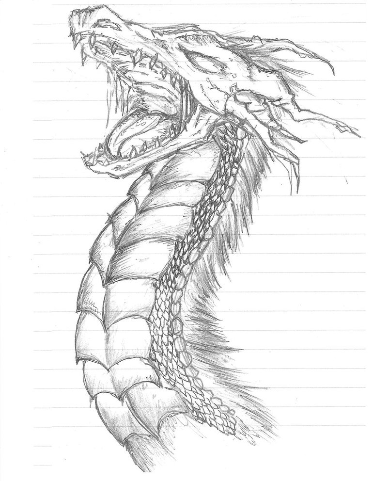 Dragon mystical sketch logo hand drawn in doodle Vector Image