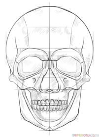 Human Skull Drawing - Drawing Skill