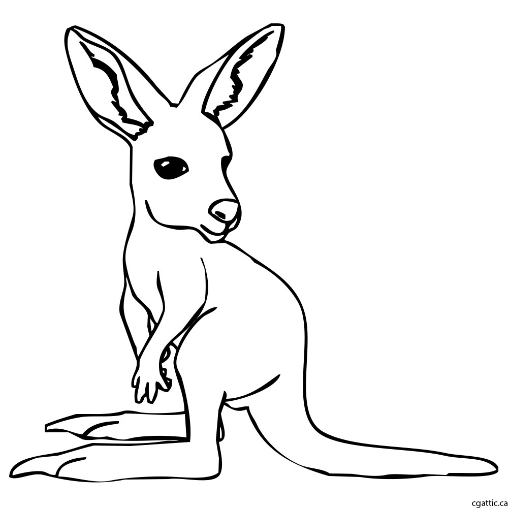 Kangaroo wild animal sketch spontaneous ink artistic drawing  CanStock