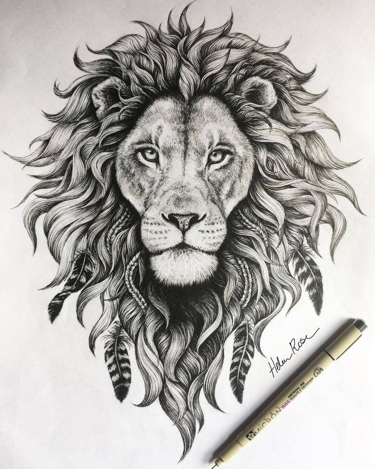 Lion Head Vector Sketch Illustration 66289587  Megapixl