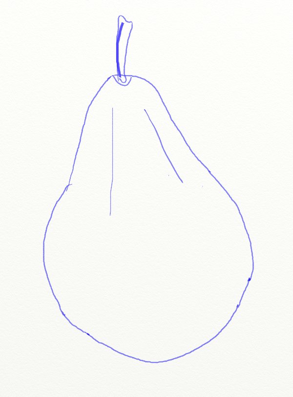 Pear Drawing Image