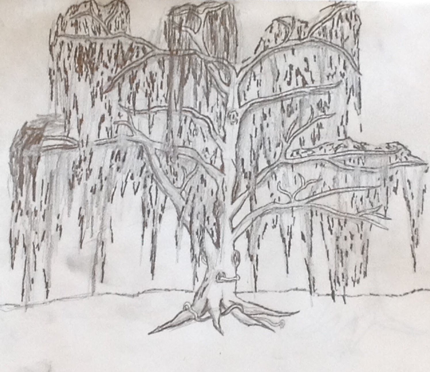 Weeping Willow Tree Drawing, Pencil, Sketch, Colorful, Realistic Art ...