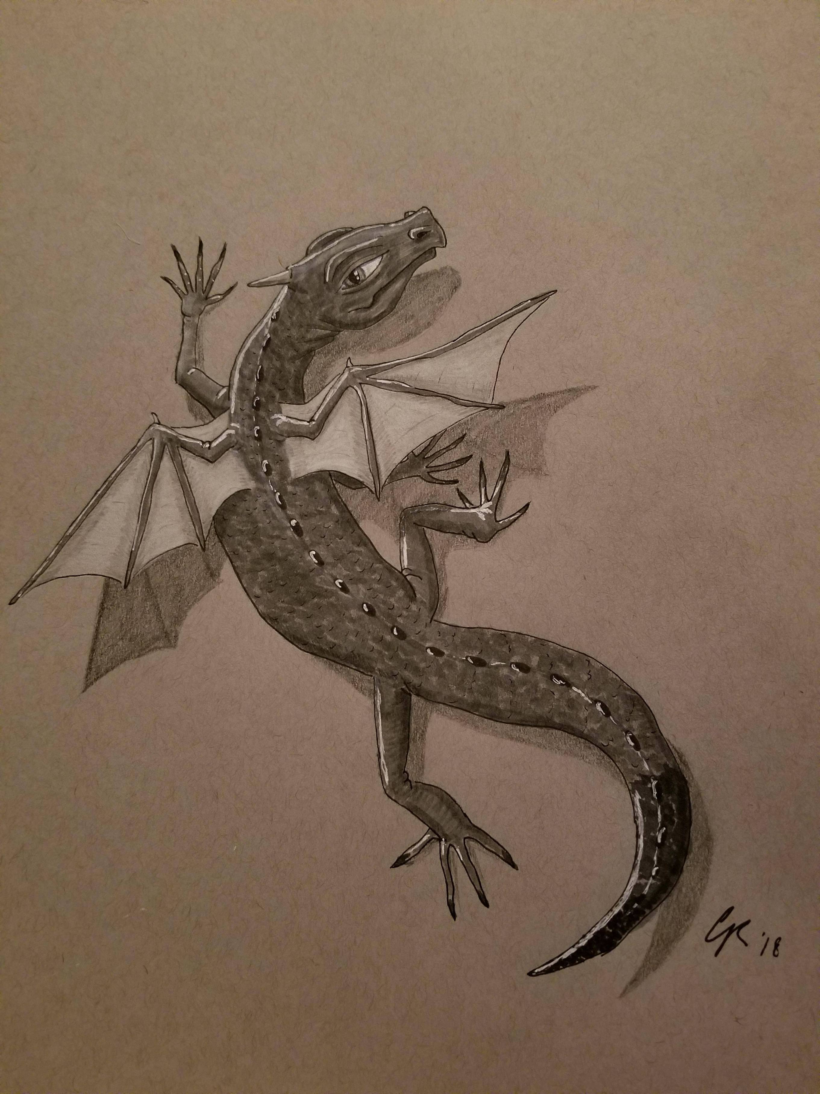 How to Draw a Lizard  Create a Realistic Lizard Drawing