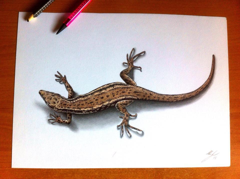 Changeable Lizard Pencil Drawing  How to Sketch Changeable Lizard using  Pencils  DrawingTutorials101com