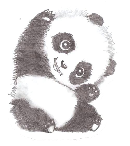 Panda Face Drawing Pic | Drawing Skill