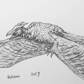 Rodan Drawing - Drawing Skill