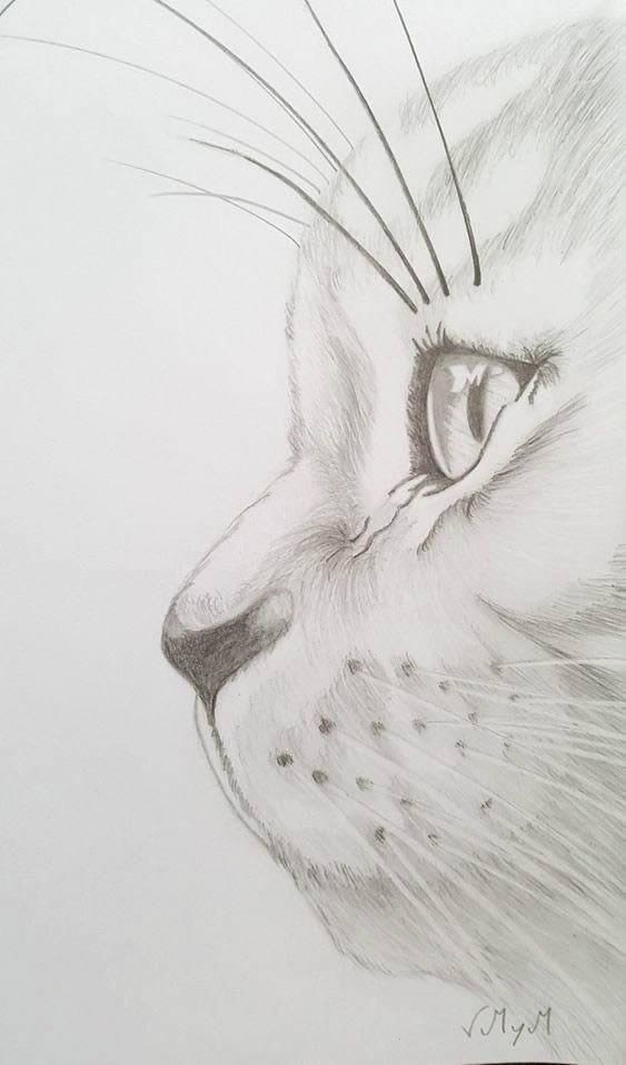 30 Beautiful Sketches for Inspiration  WebFX