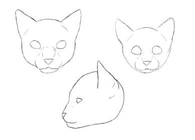 Cat Head Drawing Realistic - Drawing Skill