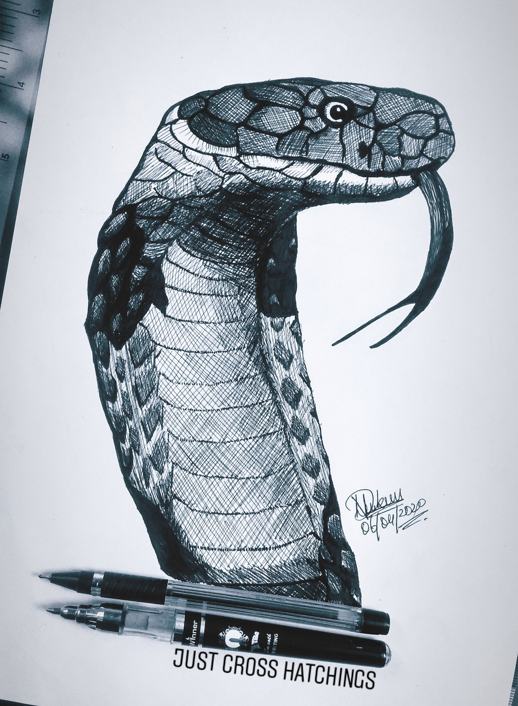 Cobra Drawing - How To Draw A Cobra Step By Step
