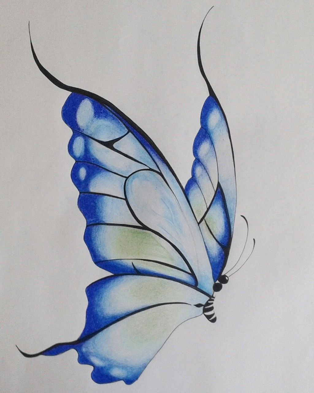Beautiful butterfly 🦋❤️ | Beautiful butterflies, Butterfly, Drawings