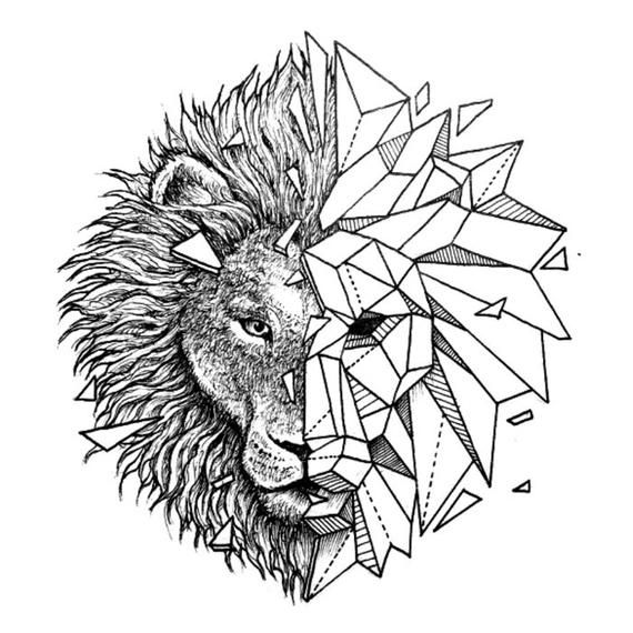 Lion Face Sketch Images  Browse 20550 Stock Photos Vectors and Video   Adobe Stock