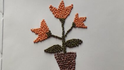 Grains And Pulses Drawing Amazing - Drawing Skill