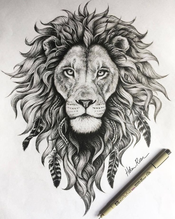 How to Draw Lion Head (Big Cats) Step by Step | DrawingTutorials101.com