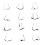 Nose Drawing - Drawing Skill