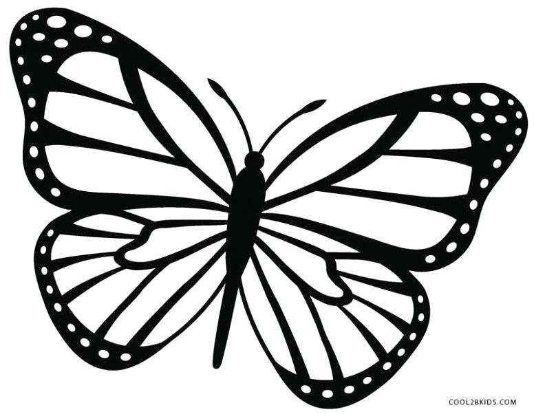 Butterfly pencil sketch Stock Photos, Royalty Free Butterfly pencil sketch  Images | Depositphotos
