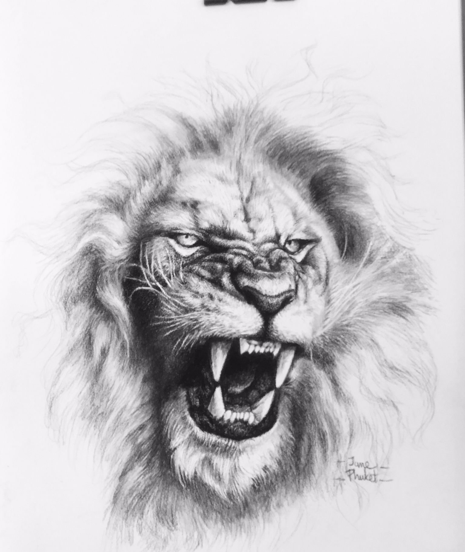 Premium Photo | A black and white drawing of a lion with a white face and a  black mouth.