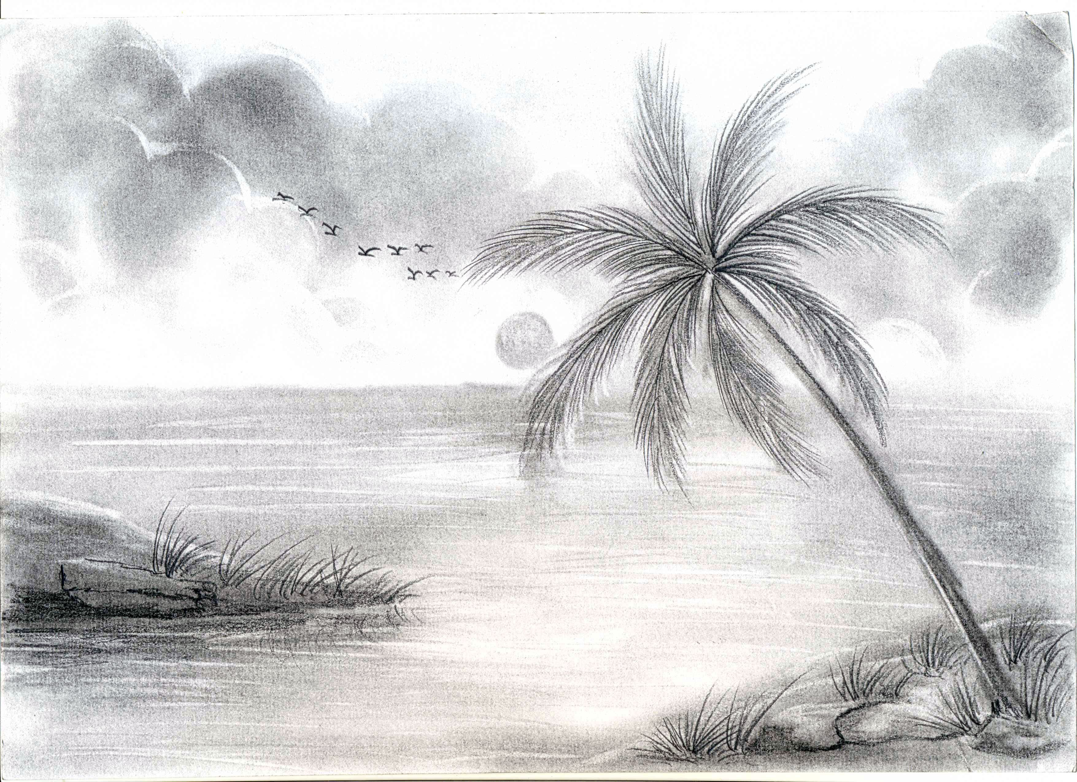 Pin by hi on Drawings | Drawing scenery, Nature drawing pictures, Nature  drawing