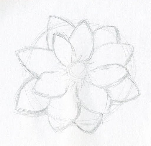 FREE 16 Flower Drawings in AI