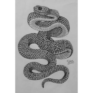 Snake Pen Sketch Drawing - Drawing Skill