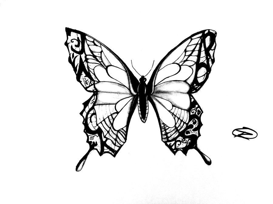 Butterfly Tattoo Design Butterfly Drawing Butterfly Sketch Butterfly PNG  Transparent Clipart Image and PSD File for Free Download