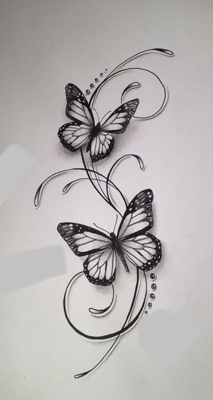 How to Draw Butterfly Tattoo Designs