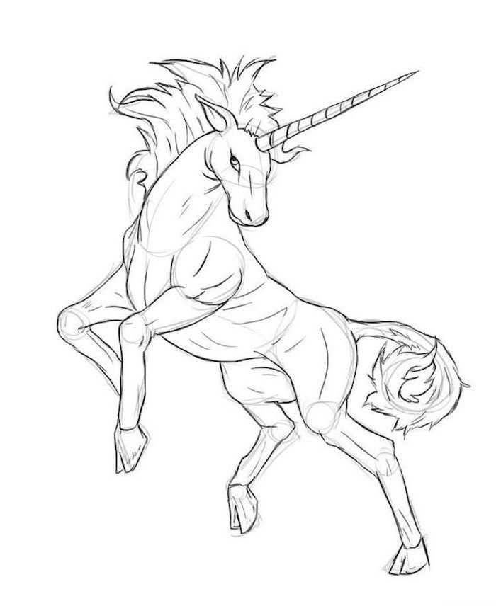 Premium Vector  Cute unicorn drawing coloring page line art illustration  vector