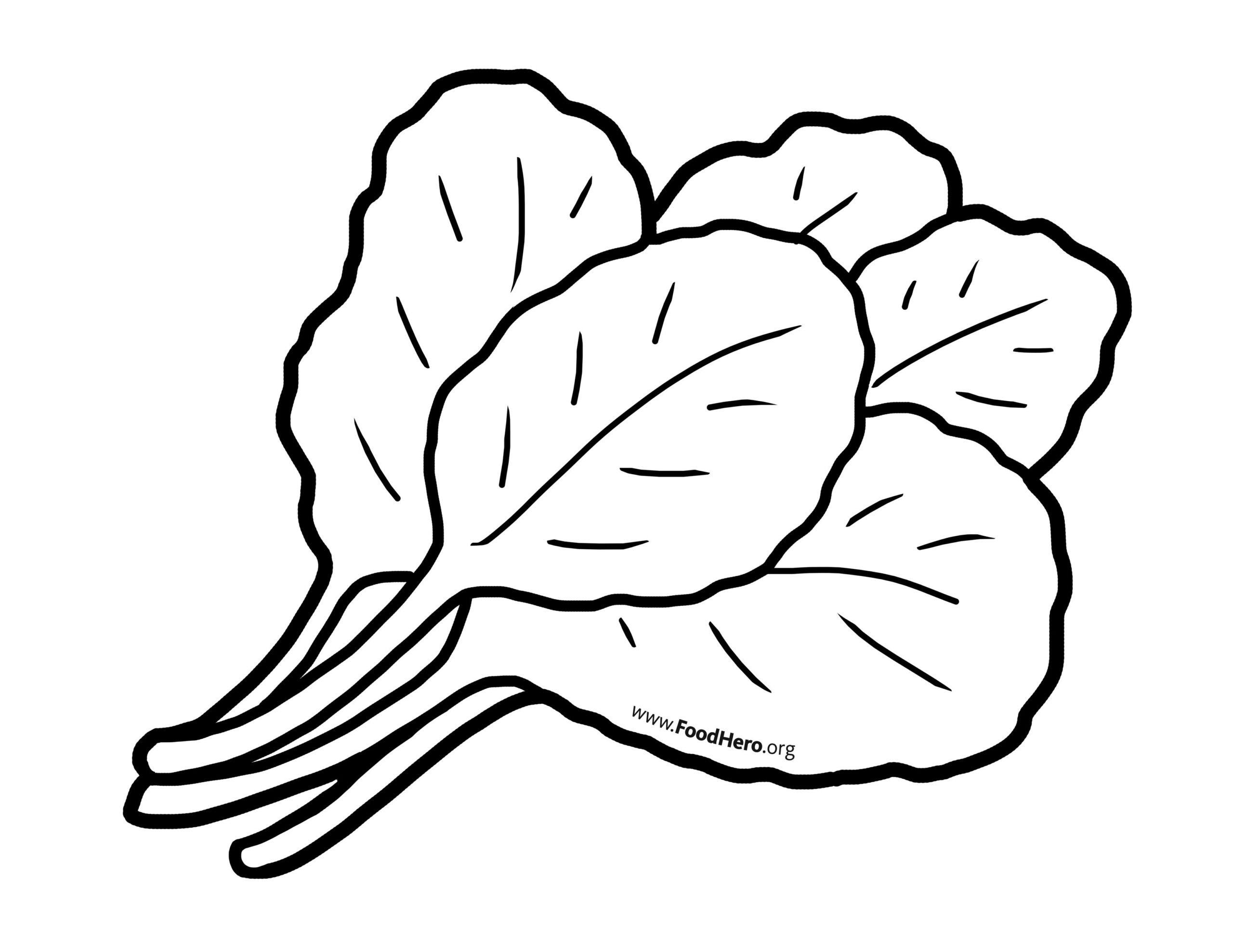A variety of vegetable doodles. | Vegetable drawing, Drawings, Illustration