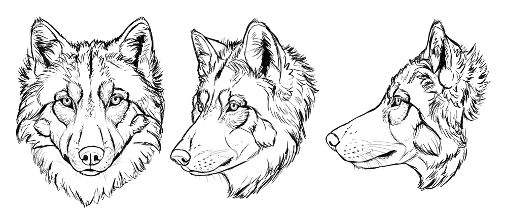 Wolf face / Drawing | ai illustrator file | US$5.00 each | Ai & PNG File
