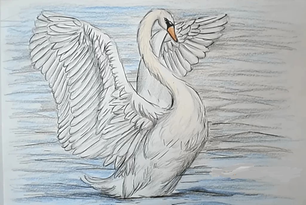 Vintage White Swan Print on Lake Pencil Sketch Vintage Nursery - Etsy Israel