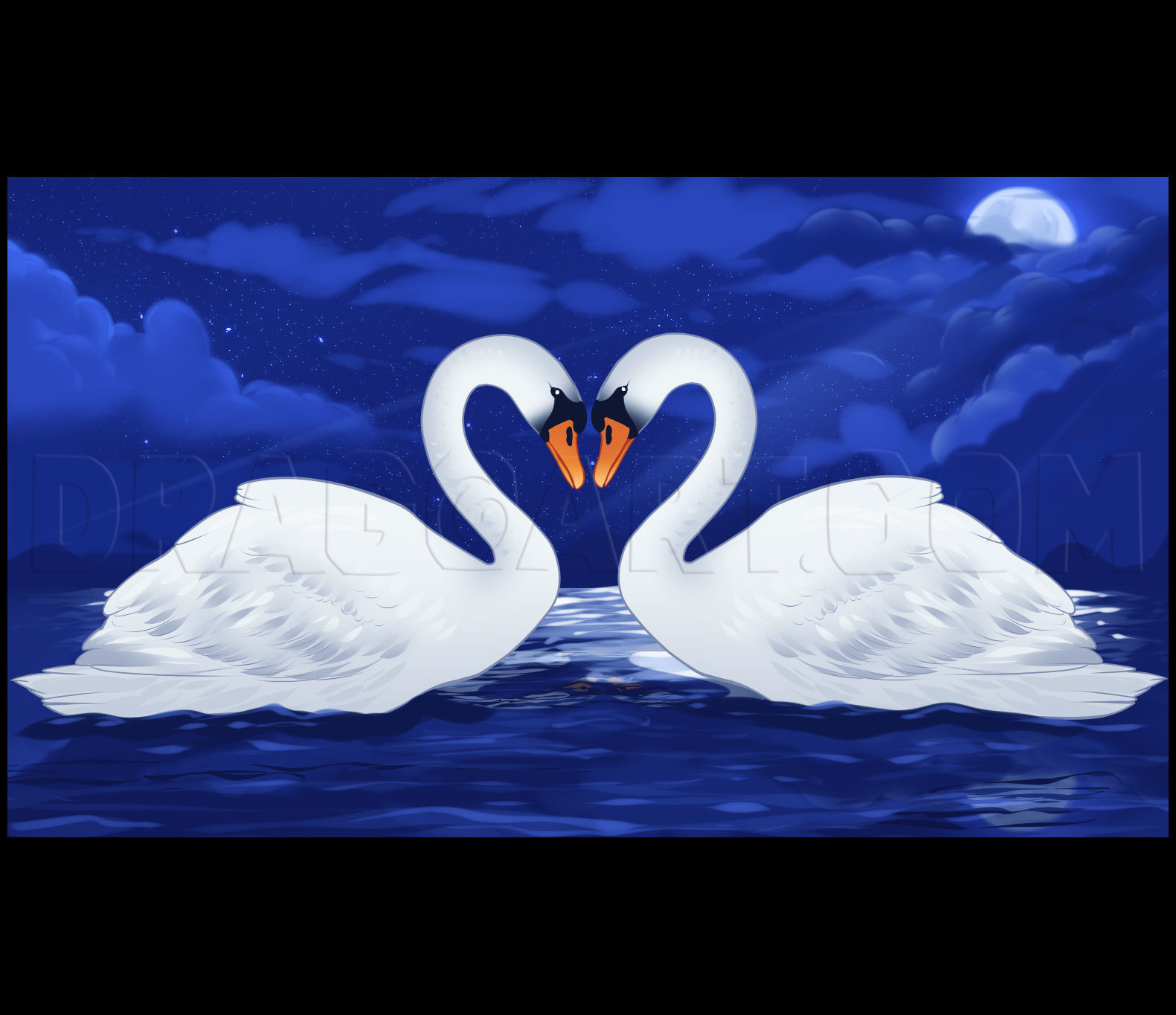 Drawing Line Art Pencil - Swan Drawi PNG Transparent With Clear Background  ID 183612 | TOPpng